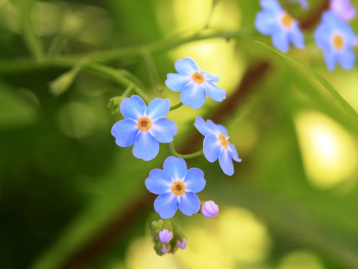 39548 (a): :1600x1200